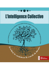Intelligence Collective (L')